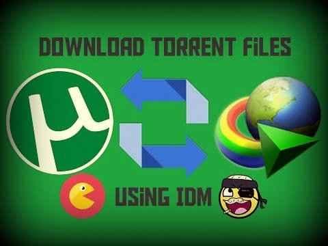How to download Torrent files with IDM?