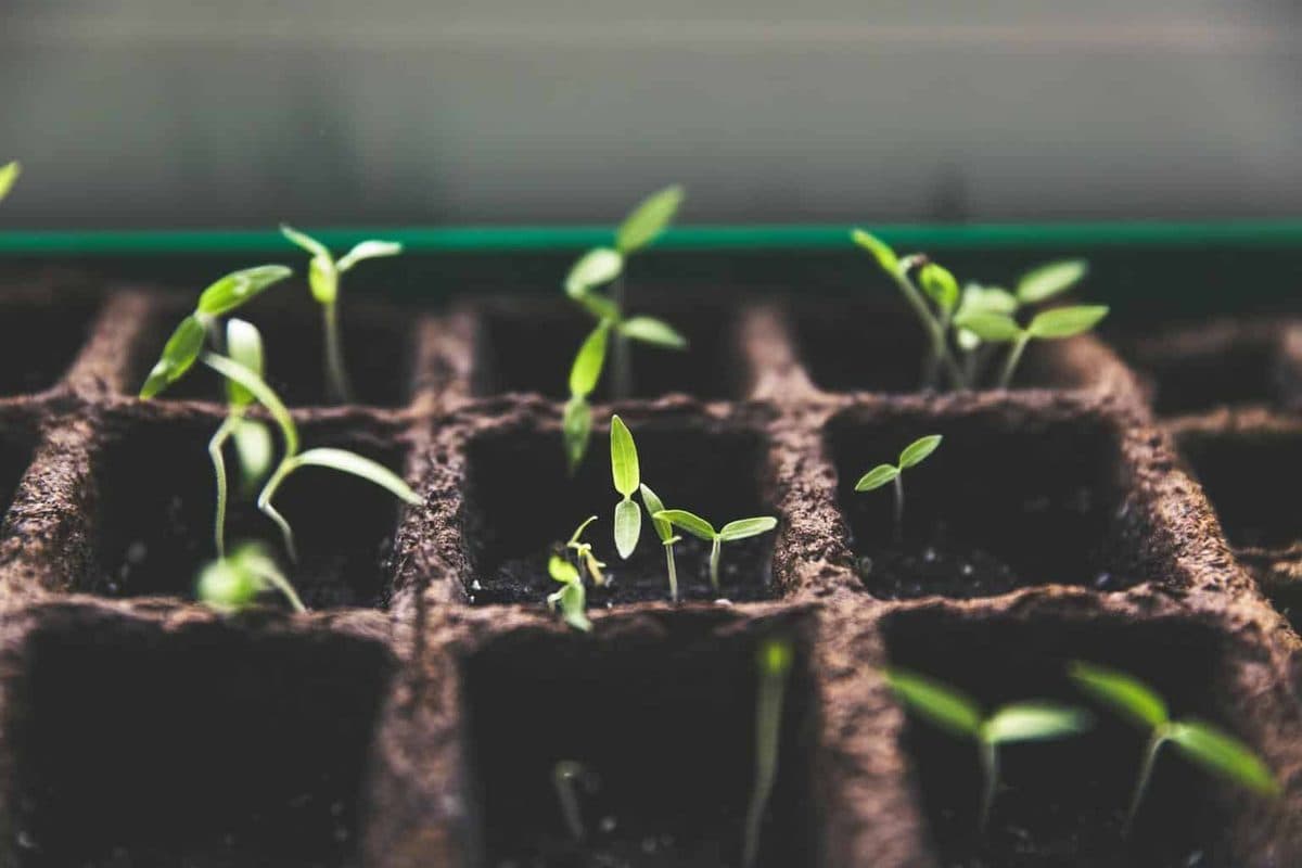 Why Your Growing Business Needs a POS System?