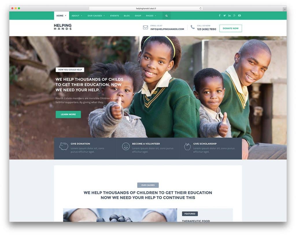https://cdn.colorlib.com/wp/wp-content/uploads/sites/2/helpinghands-classic-charity-wordpress-website-template.jpg