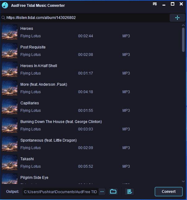 AudFree Tidal Music Converter Review 2